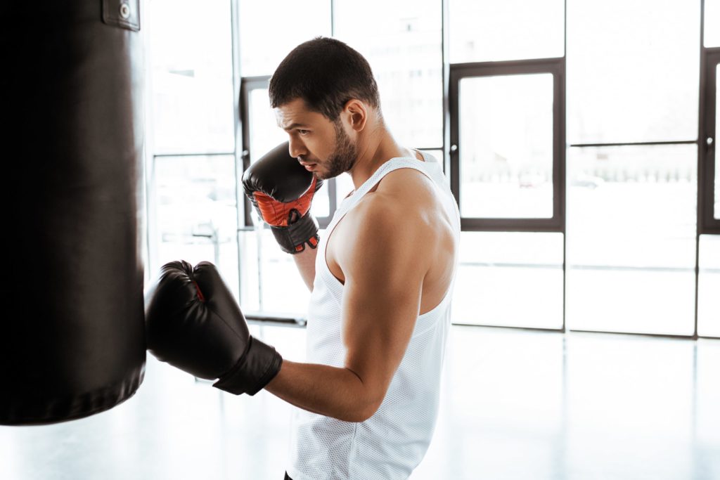 boxeo online